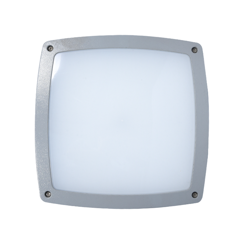 PY-LED6019 উচ্চ কর্মক্ষমতা আউটডোর ওয়াল প্যাক লাইট