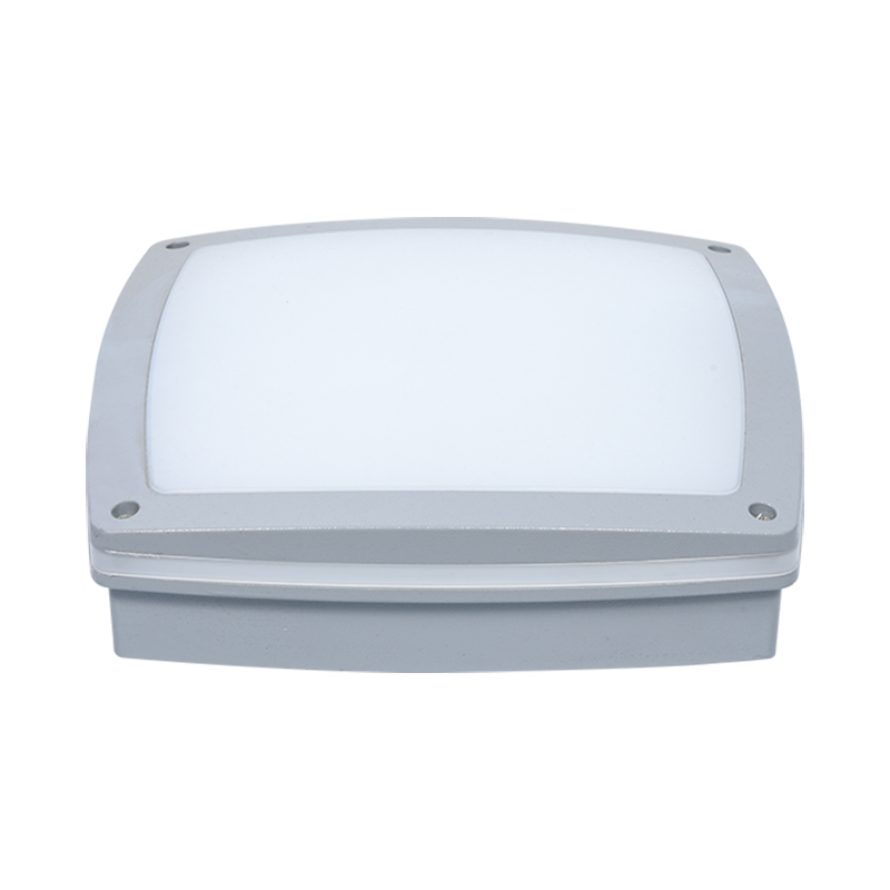 PY-LED6019 উচ্চ কর্মক্ষমতা আউটডোর ওয়াল প্যাক লাইট
