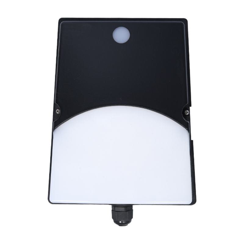 PY-WP9005 আউটডোর ওয়াটারপ্রুফ ওয়াল প্যাক লাইট