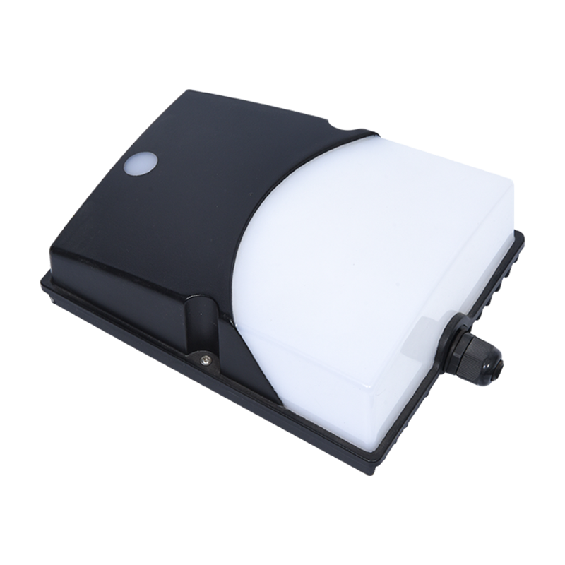 PY-WP9005 আউটডোর ওয়াটারপ্রুফ ওয়াল প্যাক লাইট