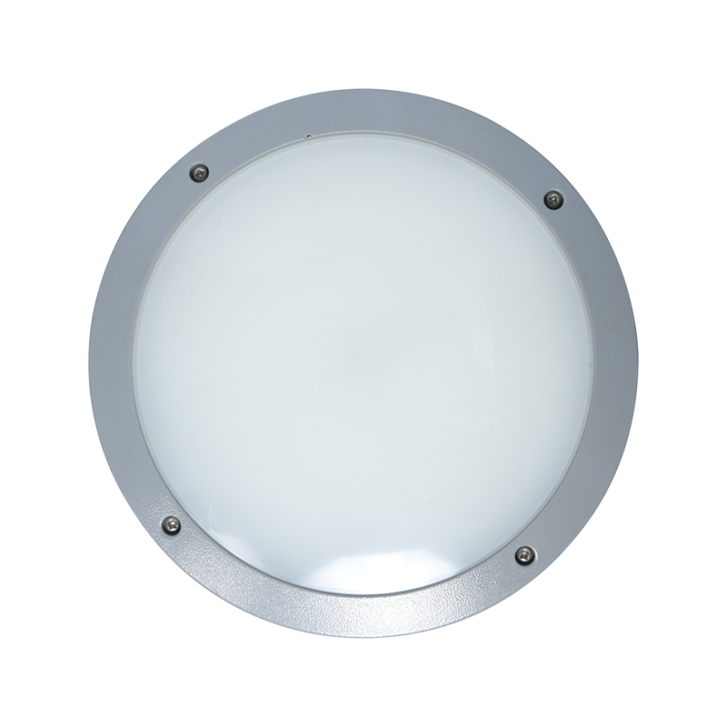 PY-LED6019-30W পরিবেশ বান্ধব ওয়াল প্যাক লাইট