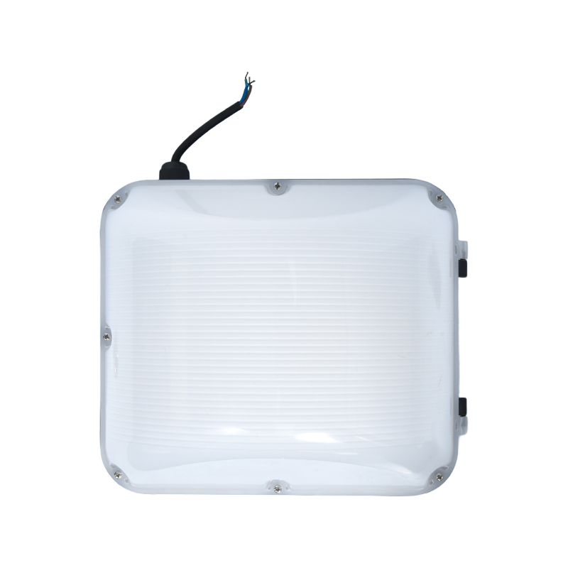PY-LED9010 আউটডোর পরিবেশ বান্ধব ওয়াল প্যাক লাইট