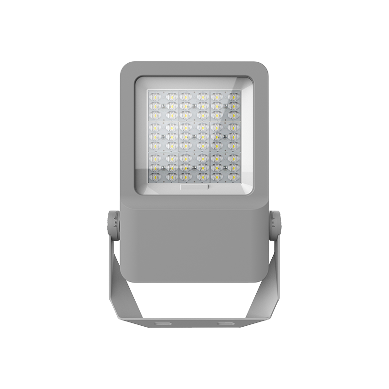 F01-100 আউটডোর জলরোধী LED ফ্লাডলাইট